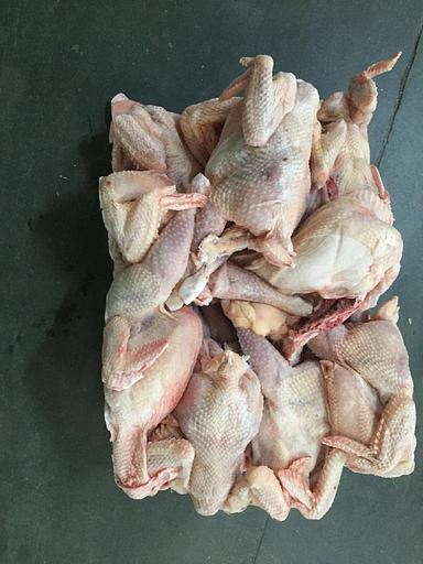 Тушка кур несушек 2 сорт монолит опт фото 2