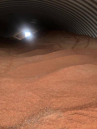 Семена льна ОПТ фото 2