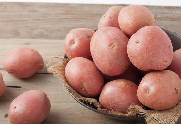 Картофель семенной сорт Юбиляр ОПТ фото 1