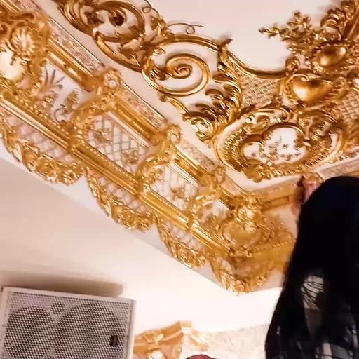 Поталь Propotal «Золото Шампани» 100 листов ОПТ фото 10