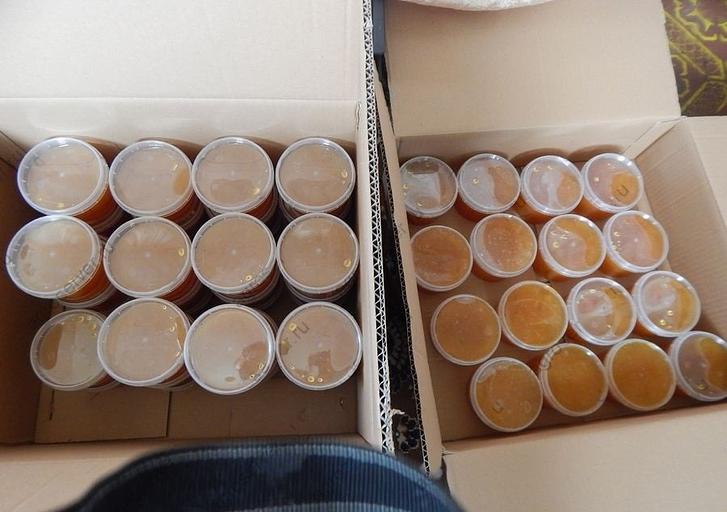 Мёд натуральный фото 1