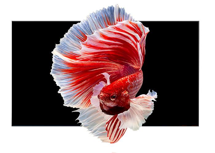 Кабинет AET NX 1.2 COB фото 1