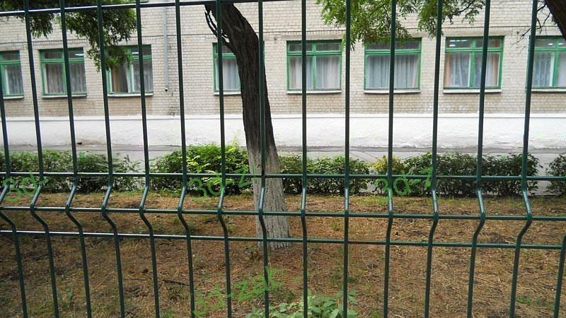 Забор 3Д, еврозабор 1730×2500 мм d 3 мм опт фото 2