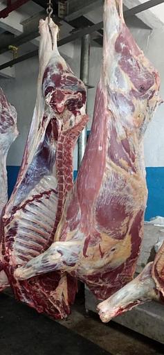 Охлажденные полутуши / четвертины быки молодняк, опт фото 3