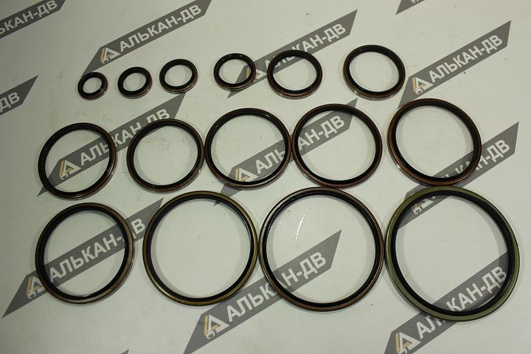 Грязесъемники, пыльники wiper-seal, PIN Dust, GA, DKB, DKBI, WS фото 9