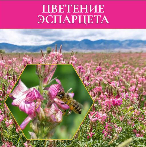 Мед эспарцетовый 1400 г ОПТ фото 3