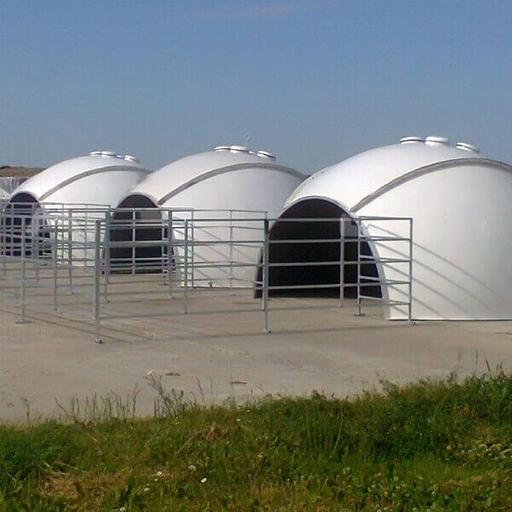 Групповой домик для телят с выгульной площадкой фото 1