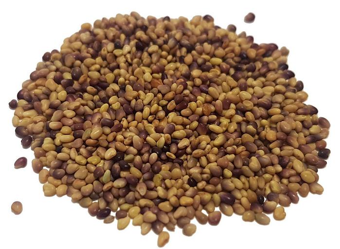 Семена красного клевера фото 1