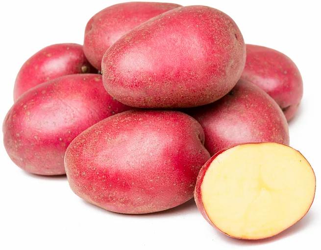 Картофель красный опт фото 1