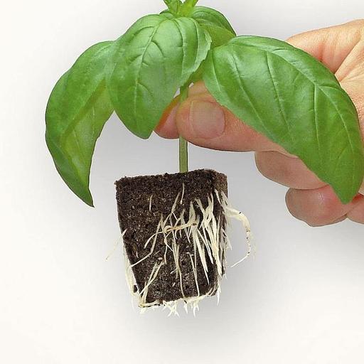 Пробки для проращивания семян Root Riot Refills 1 шт. фото 1