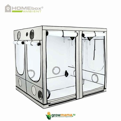 Гроубокс Homebox Ambient Q240 240x240x200см фото 1