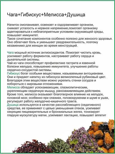 Чай Otvarchik pei «Чага+гибискус, мелисса, душица» 100 г ОПТ фото 2