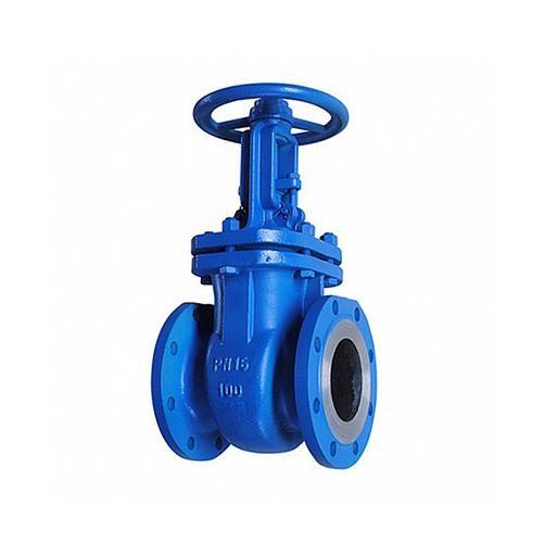 Задвижка 30лс41нж Ру16 Ду 125 фото 1