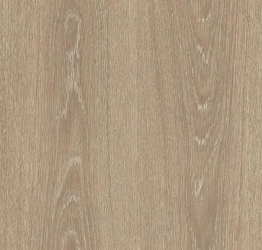 Ламинат 31 класс «Kastamonu» Дуб Джакарта FP 103 ОПТ фото 1