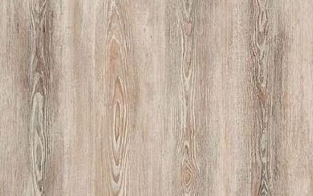 Ламинат 32 класс «Kastamonu» Сосна лагерта светлая FP 200 ОПТ фото 1