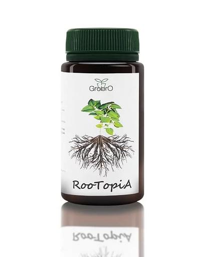 Удобрение RooTopiA «Мощные корни» фото 1