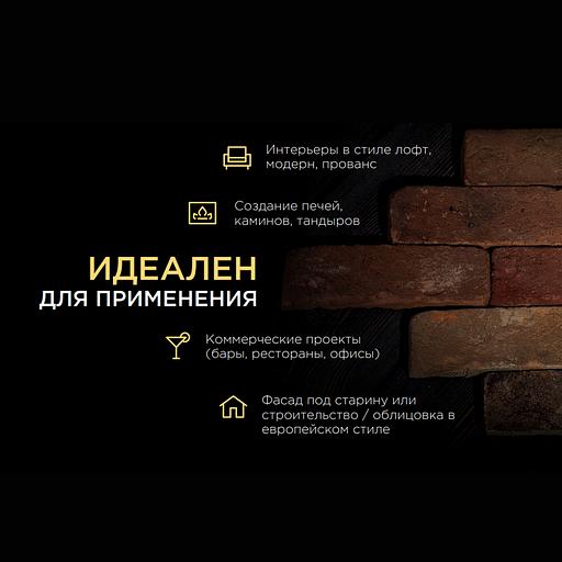 Кирпич «Continental» Rigel 350×100×40 ОПТ фото 3