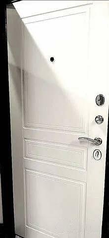 Дверь входная металлическая опт фото 1