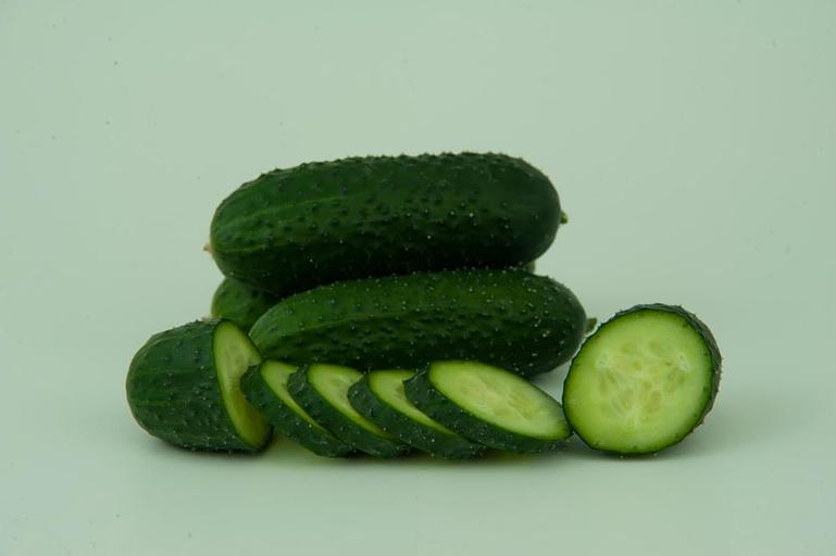 Профессиональные семена огурца F1 «Стартап» опт фото 3