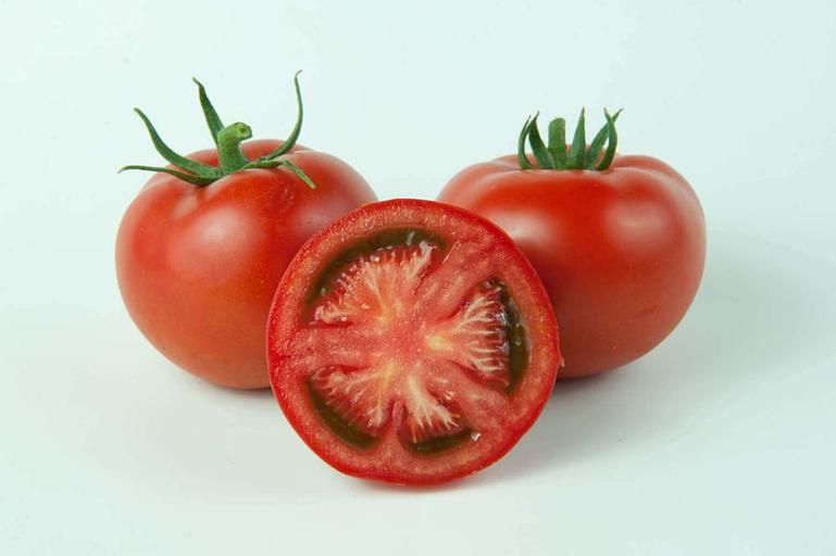 Профессиональные семена томата F1 «Хортица» опт фото 2