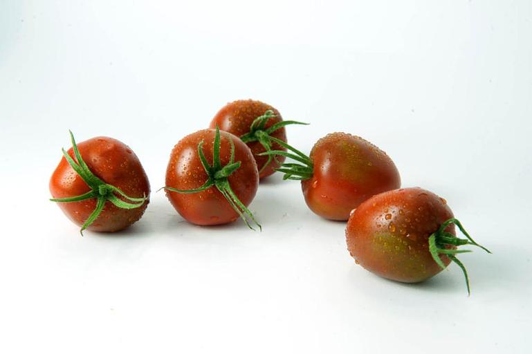 Профессиональные семена томата F1 «Иман» селекция опт фото 3