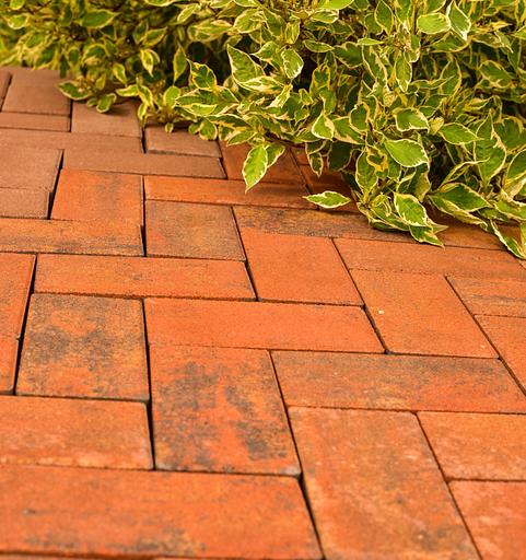 Тротуарная плитка «Краски мира» TR.CW.060.XXX фото 3