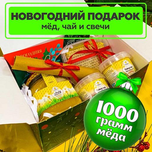 Мёдовый подарок «Еловая ветвь» (зеленый бокс) ОПТ фото 1