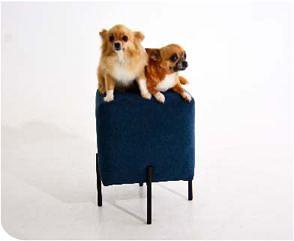 Пуф « Busco» 430 ОПТ фото 5