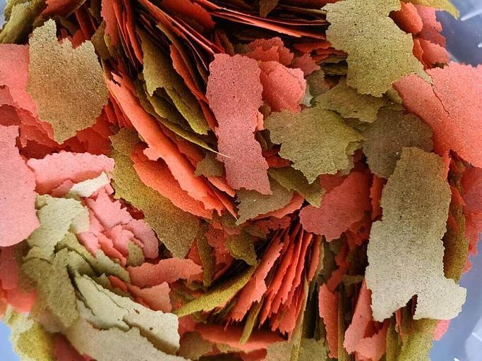 Хлопья для окраски рыб опт фото 1