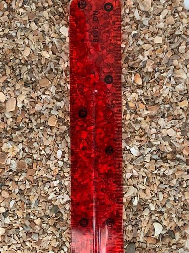 Морская кормовая ракушка крупная фракция фото 1