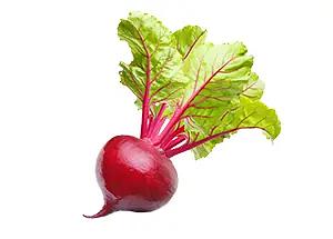 Удобрение для роста растений «Изагри Бор» 10 л опт фото 2