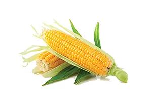 Удобрение для роста растений «Изагри Цинк» 10 л опт фото 2