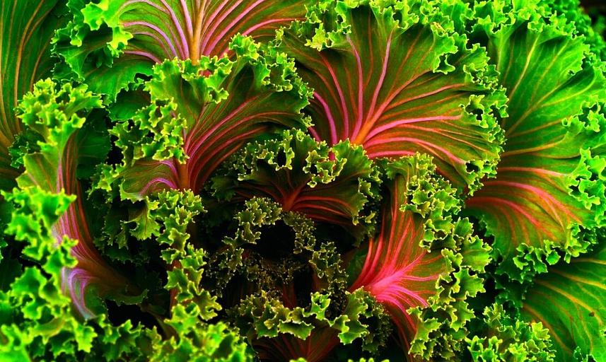 Жидкое удобрение с микроэлементами и аминокислотами для овощей опт фото 8