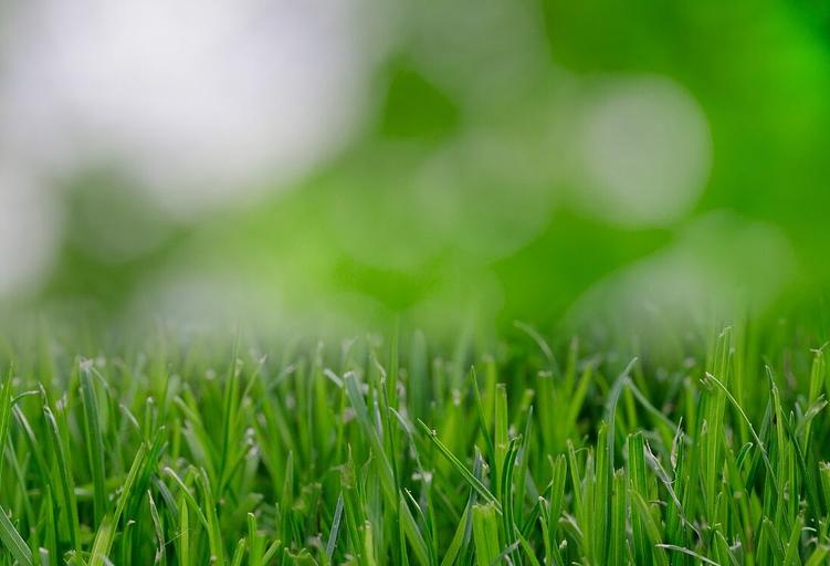 Комплексное азотное удобрение для газона опт фото 9