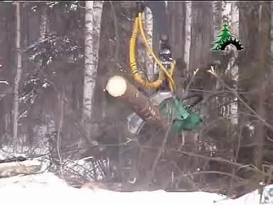 Харвестерная машина фото 2