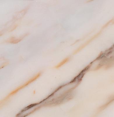 Напольный керамогранит ProGRES «Сен-Бернар» 60х60 см ОПТ фото 1