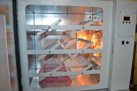 Инкубатор ИПХ-12 «Петушок» фото 6