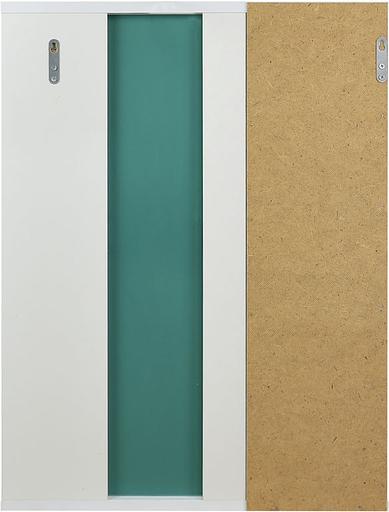 Зеркало-шкаф Селена 60 DORATIZ 2711.140, белый со стеклом фото 4