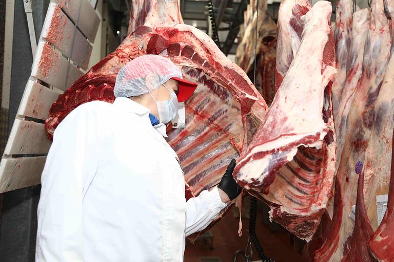 Голяшка б/к Shank Meat говядина охлажденная, опт фото 1