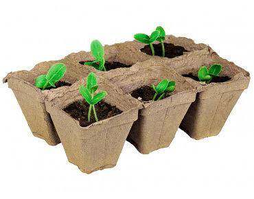 Набор мини-теплица «Тerra Husk» для выращивания рассады 30 ячеек ОПТ фото 1