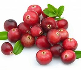 Рябина красная замороженная ОПТ фото 1