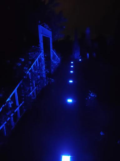 Набор уличных светодиодных Led тротуарных светильников для брусчатки из 2х шт., 100х100 мм, синий фото 3