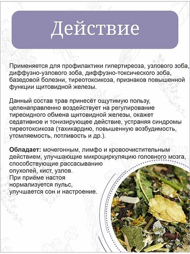 Травяной сбор Otvarchik pei «Для щитовидной железы» 50 г ОПТ фото 3