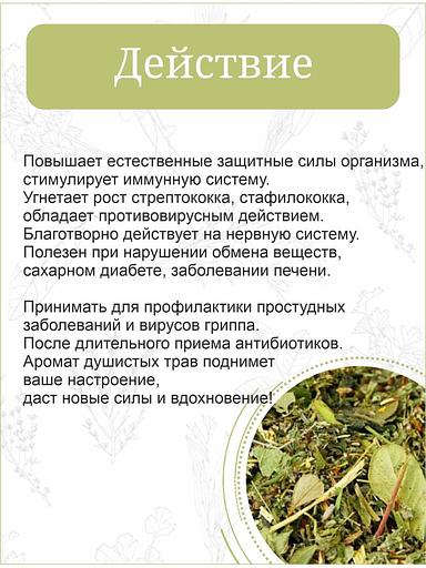 Травяной сбор Otvarchik pei «Сила Алтая» иммунный 50 г ОПТ фото 4