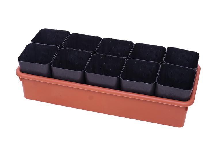 Набор для рассады «Универсал» цветной опт фото 2