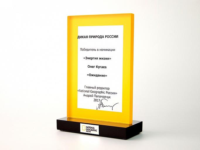 Диплом на постаменте (Томбостоун) опт фото 1