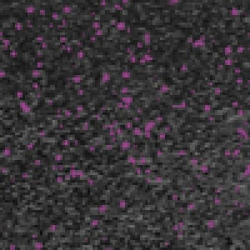 Резиновое покрытие Rubblex Sport Puzzle 1000x1000 MIX - каучуковая крошка, Цвет Фиолетовый и черный, Толщина модуля 25 мм. фото 1