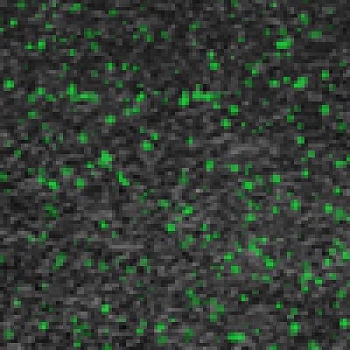 Резиновое покрытие Rubblex Sport Puzzle 1000x1000 MIX - каучуковая крошка, Цвет Зеленый и черный, Толщина модуля 15 мм. фото 1