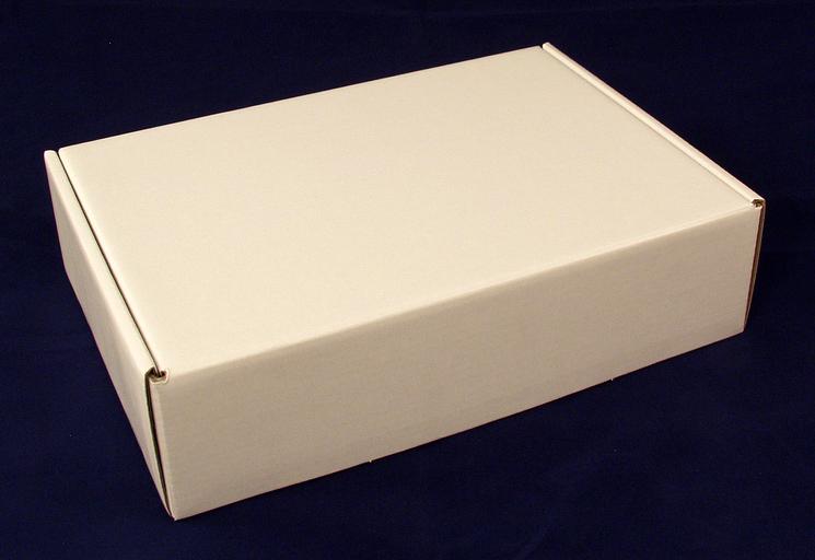 Коробка универсальная, белая, без печати, 250*175*65мм фото 1