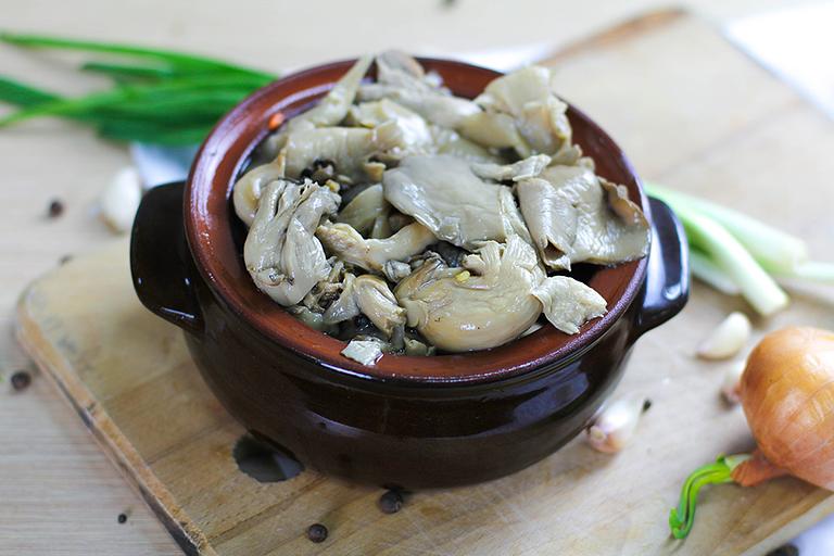 Грибы «Вешенки» ОПТ фото 2